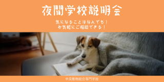中央動物総合専門学校の夜間学校説明会