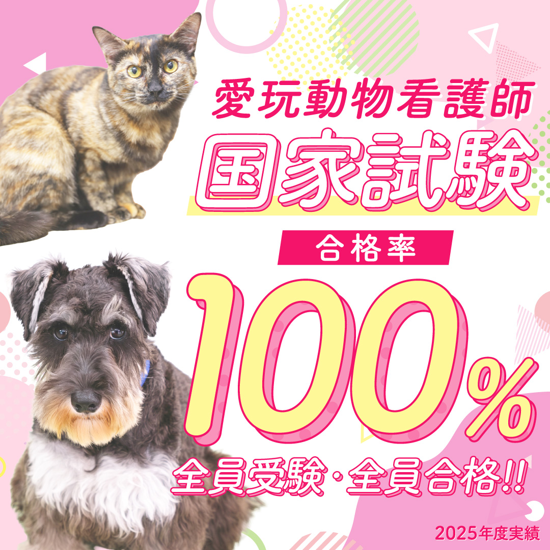 2025年度愛玩動物看護師国家試験、合格率100％：愛玩動物看護学科