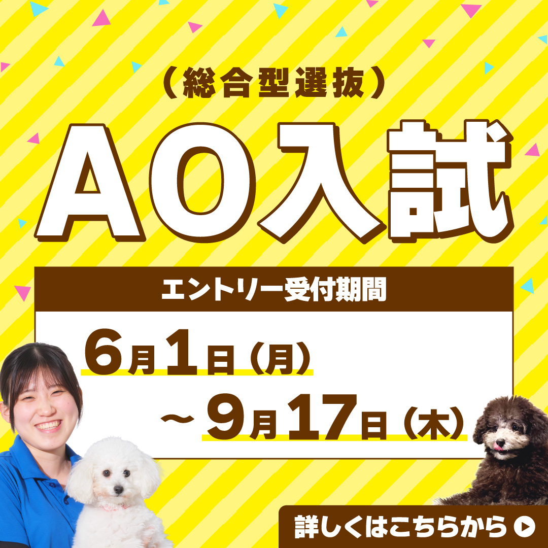 6月1日からAO入試(総合型選抜)のエントリー受付開始！
