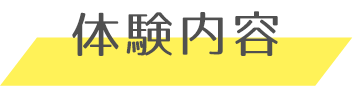 体験内容