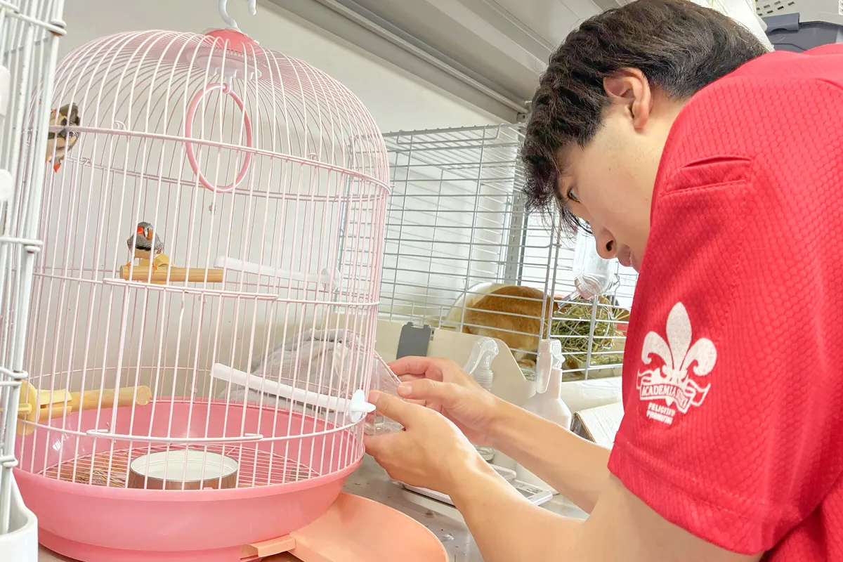 飼育室で動物の世話をする学生