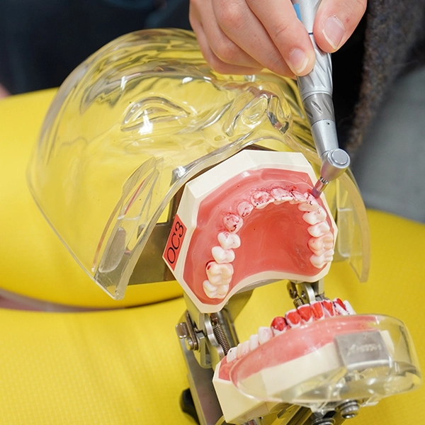 デンタルチェア体験