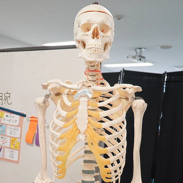 ハロウィーン？