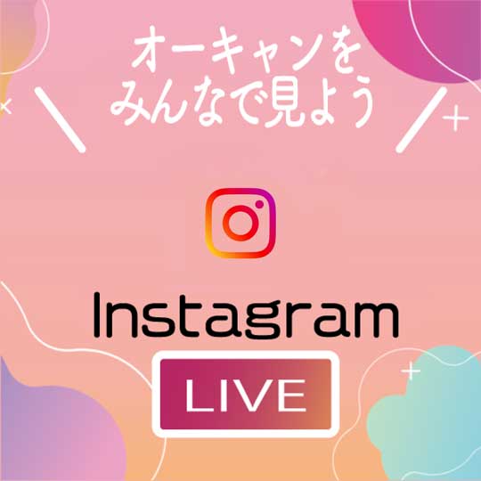 オープンキャンパスインスタライブ開催！